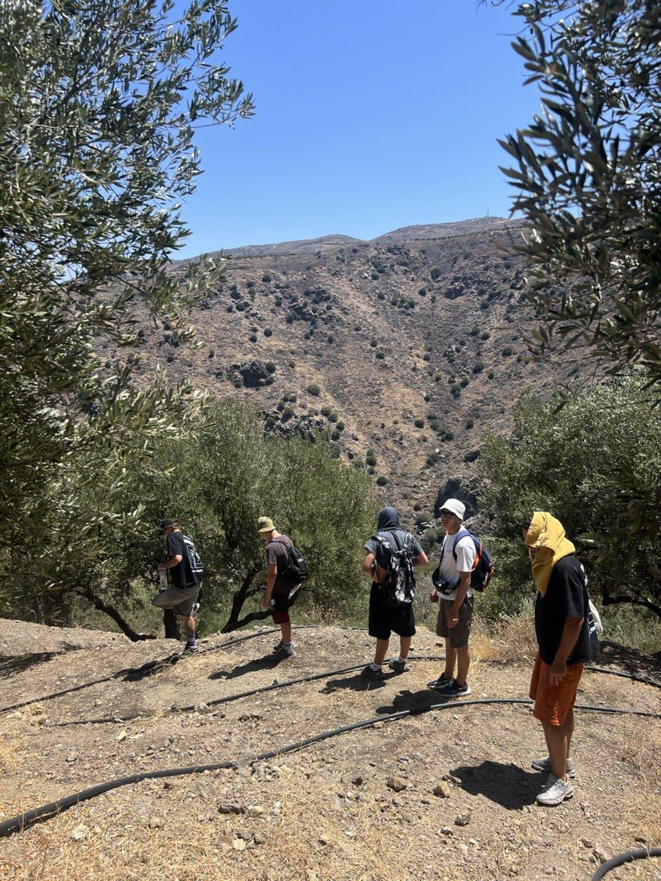 The group on a mountain trail among olive trees